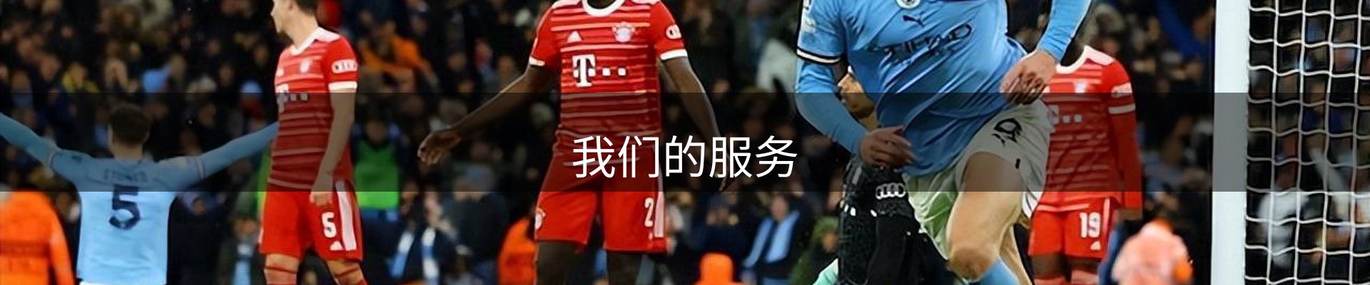我们的服务