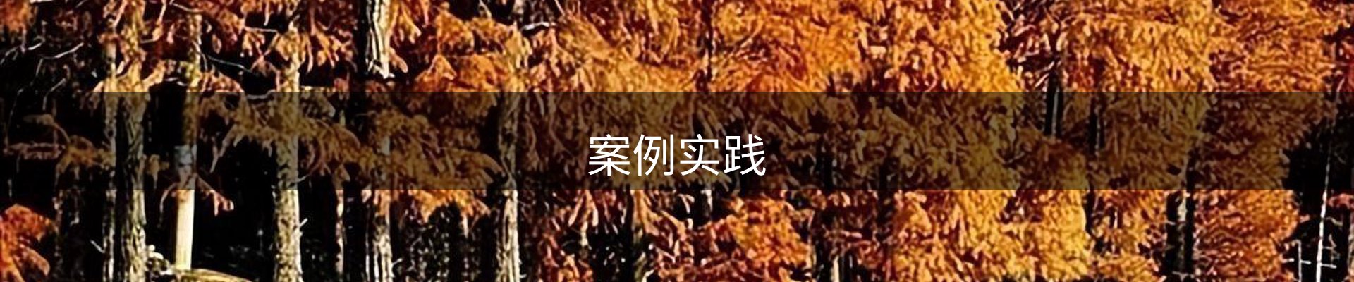 案例实践